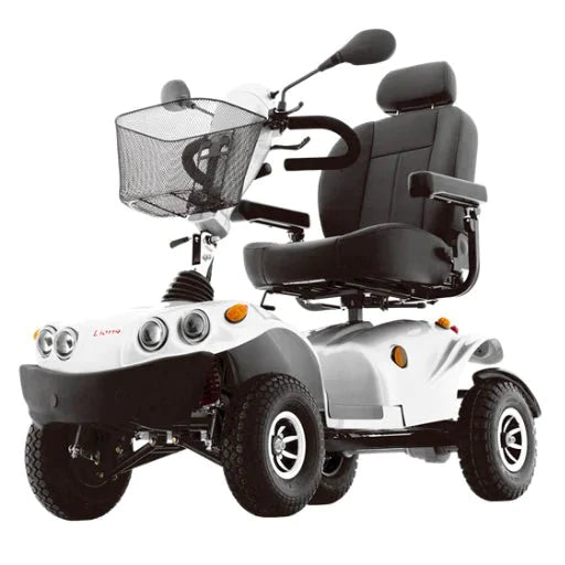 FreeRider All-Terrain Heavy Duty Mobility Scooter FR GDX